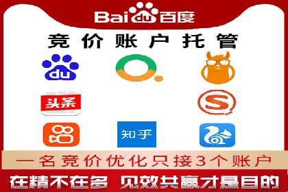 某某企业SEM推广成功案例：打造品牌营销新模式